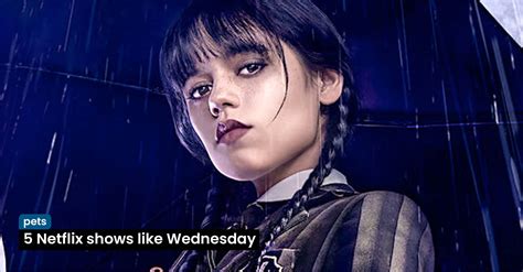 what shows are similar to wednesday